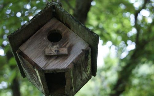 Winter vogelhaus - Die ausgezeichnetesten Winter vogelhaus ausführlich verglichen