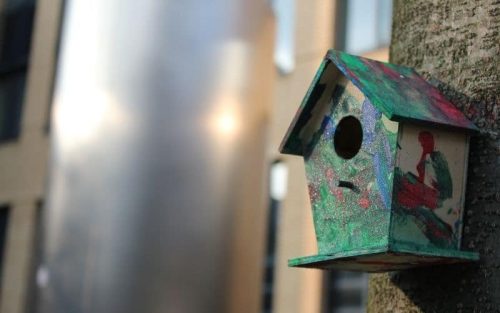 Vogelhaus Lochdurchmesser: Welche Größe das Einflugloch haben sollte