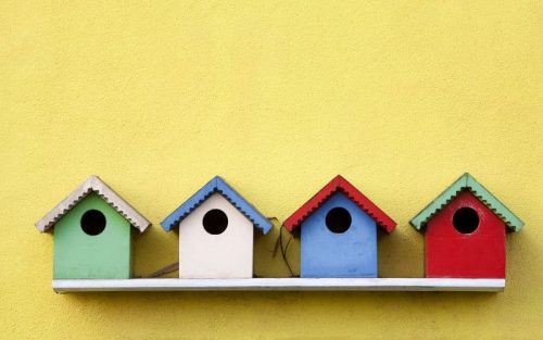 Vogelhaus aus Kunststoff Test: Die 5 besten Vogelhäuser aus Kunststoff