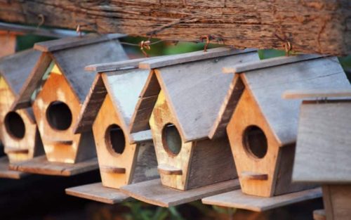 Vogelhaus Rohling Test: Die 6 besten Vogelhäuser Rohlinge