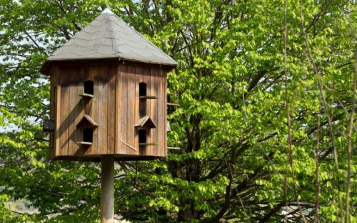 Sechseckiges Vogelhaus Test: Die 6 besten Sechseckige Vogelhäuser